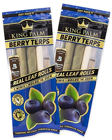 King Palm Mini Size Cones - 2 Rolls per Pack, 2 Packs - Pre Rolled Cones - Natural Cones - Corn Husk Filter - Preroll Cones - Prerolled cones with Filter (Blue Berry)