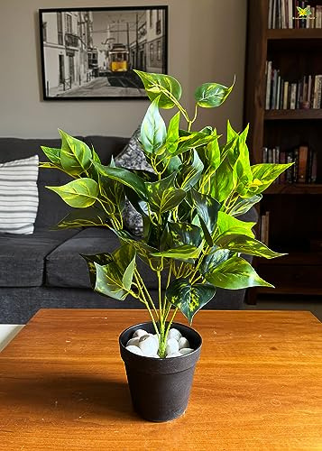 Blooming Floret Artificial Golden Pothos for Home Decor/Office Decor/Gifting | with Pot | Small Ornamental Plant | 19 inch Short Plant | Natural Looking | Dust-Proof