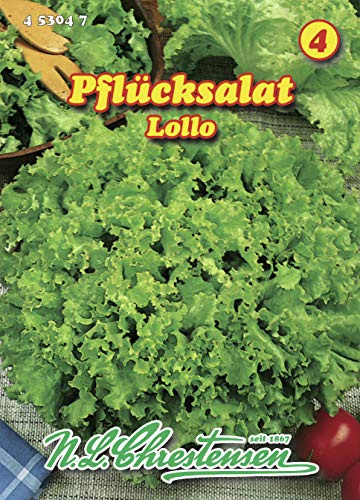 N.L. Chrestensen 453047 Pflücksalat Lollo Bionda (Pflücksalatsamen)