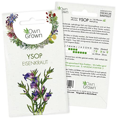 Ysop Samen: Eisenkraut Samen zur Anzucht von 150 Kräuter Pflanzen – Wildkräuter Samen – Ysop Pflanze – Kräuter Saatgut – Ysop Saatgut von OwnGrown