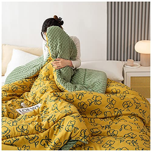 Daunendecke, Kaschmirdecke, Steppdecke/Bettdecken, Sojafaser-Bettdecke, doppelseitiger warmer Bettdeckenkern, verdickte warme Geschenkdecke für Herbst und Winter für das Schlafzimmer zu Hause,D,220x24