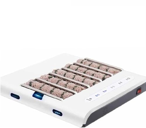 IEVEDIVB Machine Nettoyage Semelles Entièrement Automatique, Brosse À Chaussures D'entrée Rechargeable 260 TR/Min, Aspiration Et Essuie-Glace 2 en 1, Friction Haute Fréquence 20/s, Aspiration 1000 Pa