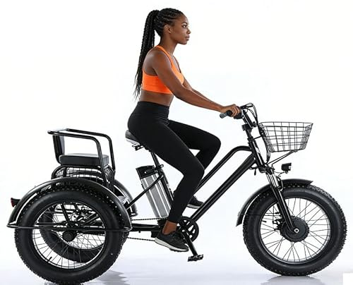 Lakenbroade Tricycle électrique pour Adultes, Moteur 500 W (Puissance maximale de 1350 W), Pliable, 51 x 10 cm, pneus Larges, Batterie 48 V 12 Ah, 3 Roues 1battery