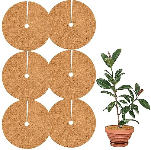 Leikurvo Lot de 6 disques de paillage en fibre de coco - 20 cm - Pour plantes en pot - Pour plantes en pot - Pour toute l'année