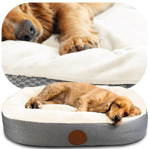 Elite Paws® UK: Luxury Orthopaedic Style Dog Bed - Dual-Layer Foam Base With Plush Cushion Top, Bolstered Sides for Head, Neck & Joint Support, Plus Zip-Off Washable Fleece Cover (Cream/Grey L)