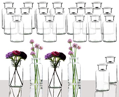 BigDean 24er Set Blumenvase – Tischvase Glasvase für Blumen und Trockenblumen – Kerzenhalter Dekovase klein - Made in Germany