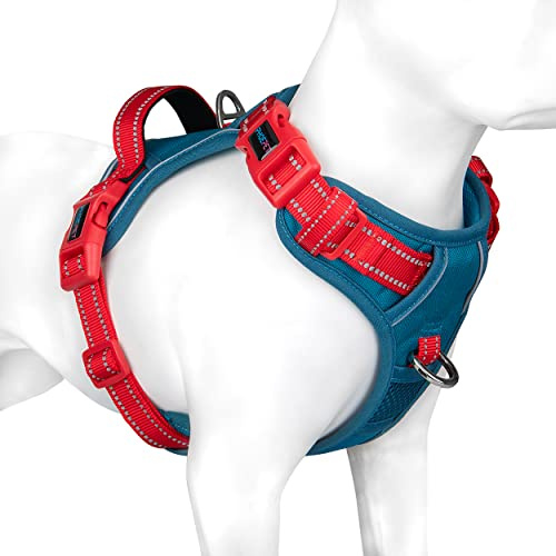 PHOEPET Dog Harness No Pull, Escape Proof Adjustable Vest, Reflective Choke Free Harness with Easy Control Handle for Small Medium Large Dogs Walking and Training(Teal Base & Red Straps,M)