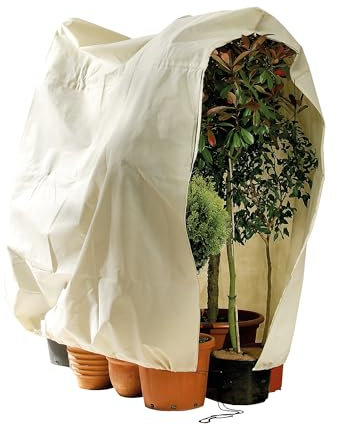 Bio Green Kübelpflanzensack Jumbo | 200 x 240 cm | Frostschutz | Reißfest | Winterschutz für Topfpflanzen | Schutzhülle Kübelpflanzen | Pflanzenschutz