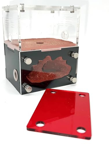 Ant Farm&Nest,House, Nest for ant Farm, Behavior Study House, Small Ant House.