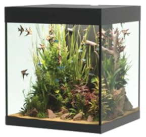 OPERA AQUARIUM 80 BLACK