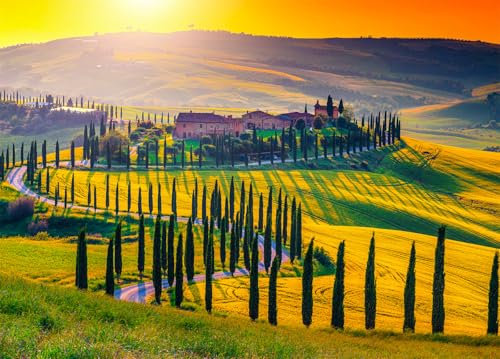 Tuscany Jigsaw Puzzles for Adults 1000 Jigsaws Italy Rolling Hills 1000 Piece Jigsaw Puzzles for Adults