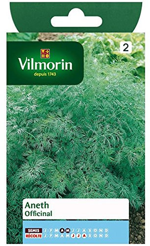 Vilmorin - Eneldo oficinal
