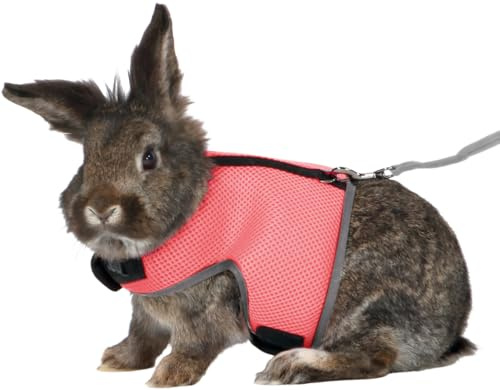 TRIXIE soft harness with leash - fully elastic 1.20 m leash - belly circumference 25-40 cm - infinitely adjustable - with Velcro fasteners - random selection - 61514