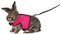 TRIXIE Softgeschirr mit Leine - vollelastische 1,20 m Leine - Bauchumfang 25 - 40 cm - stufenlos verstellbar - mit Klettverschlüssen - diverse Farben - zufällige Auswahl - 61514