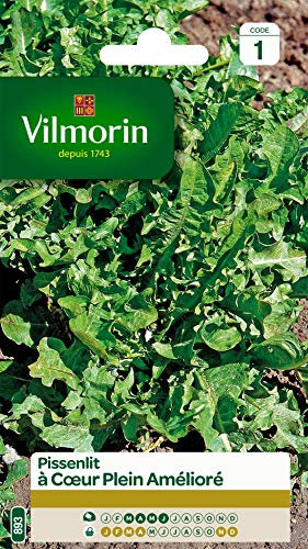 Vilmorin - Pissenlit cœur Plein - Plante très Productive - Forme compacte -