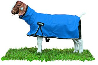 Weaver Leather Livestock ProCool Mesh Goat Blanket with Reflective Piping, Blue, Large
