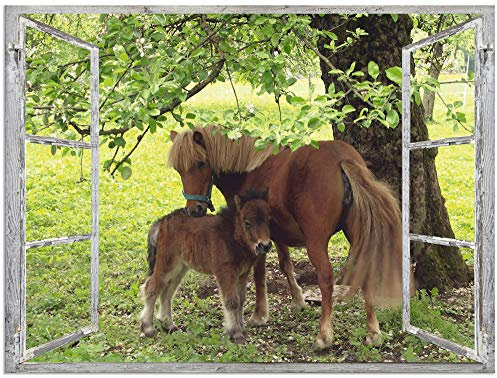 ARTland Wanddeko Wandbild Alu Verbundplatte für Innen & Outdoor Bild 80x60 cm Fensterblick Fenster Pferd Pony Natur Wiese Landhaus Baum Ausblick S8HN