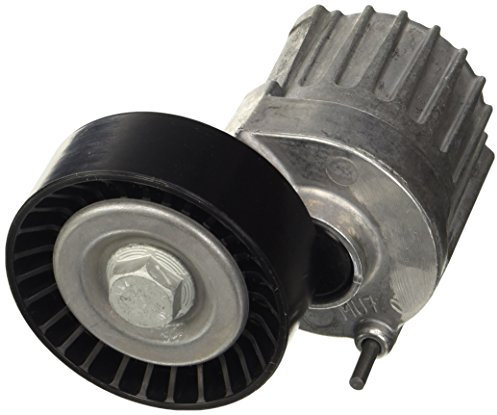 DAYCO APV2511 Tensor de Correa, Correa Poli V