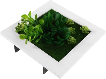 Abaodam Cadre Photo Murale Plantes Artificielles Décoration Murale Succulente pour Intérieur Cadre Végétal Élégant Et Moderne pour Salon Et Bureau
