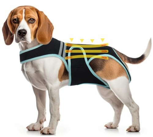 Flexibelt stöd hundsele, bekvämt ryggbandage för artrit IVDD ryggrad kirurgisk återhämtning diskbråck intervertebral disk rehabilitering hund ryggsjukdom förebyggande (L)