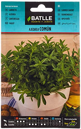 Graines aromatiques de Batlle - Sarriette commune (5g)