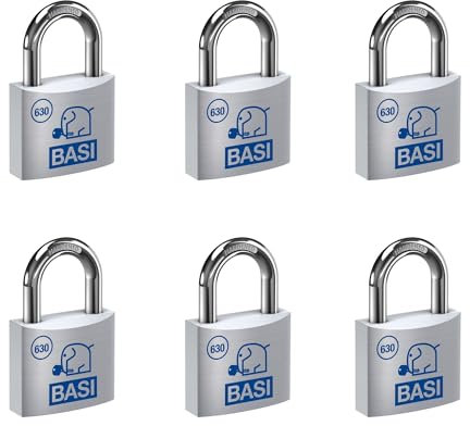 BASI | Vorhangschloss 6er Set | 30 mm | gleichschließend | massives Aluminium-Gehäuse | gehärteter Stahlbügel | sicheres Vorhängeschloss gleichsperrend | Bügelstärke 5 mm | 6 Stück