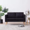 Camerina 2-Sitzer-Sofa Stoff Schwarz Modular Sofa Jugendsofa Love Seat Zweier Sofa