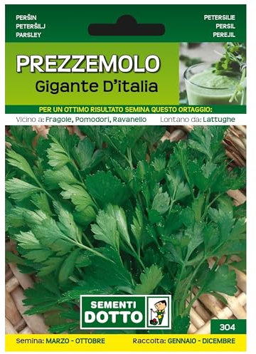 Sicignano | Semi Prezzemolo Gigante d’Italia - Pianta Aromatica con Foglie Ampie, Busta Extra - 6 Confezioni da 13g, Raccolta Annuo
