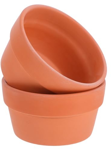 EPIGEIST Lot de 2 Petits Pots à Cactus en Terre Cuite Rouge Diamètre 125 CM avec Trou de Drainage Pots de Succulentes D’Intérieur Jardin pour Plantes Grasses et Décoration