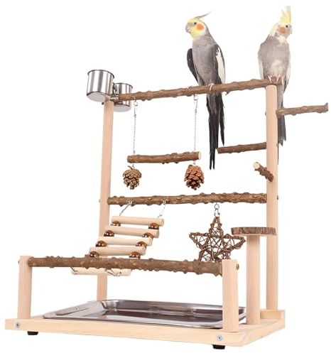 CHSEEO Jouets pour Perroquets et Perruches, Perchoir à Oiseaux, Accessoires pour Cage avec un Plateau, 2 Mangeoires, Échelles et des Balançoires, Grand Aire de Jeux pour Perruche Calopsitte Conure