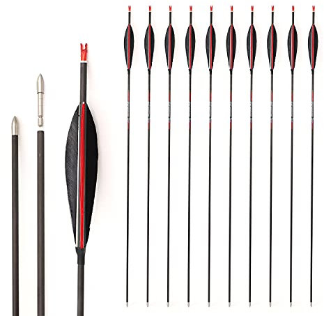 ACCMOS Spine 1000 Bogenpfeile ID 4,2 mm 31 Zoll Reinem Kohlenstoff Pfeil, Federn in Shuttle Form, für Erwachsene Jugend Compoundbogen Recurvebogen Bogensport Jagd & Praxis 12 St (Spine 1000, 31 inch)