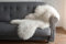 Nordvek Premium Luxury Natural Sheepskin Rug - Single Pelt - Grade A # 601-100 - Natural, Large