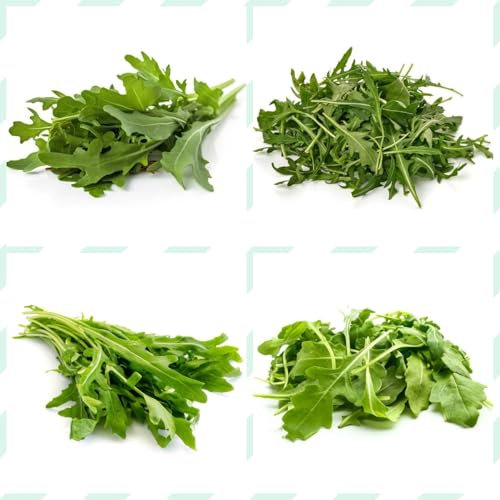 rucola samen winterhart - rucola pflanzen samen, geschenke für gartenfreunde, gemüsesamen winterhart rucolasamen bio mehrjährig, gemüsesamen, saatgut alte sorten, kletterpflanzen 100pcs