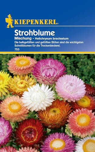 Kiepenkerl Strohblumensamen Mischung 753 - Schnittblumen - Inhalt für 50 Pflanzen - Wuchshöhe 60-80 cm - Blumenwiese Samen, Saatgut, Blumen Samen