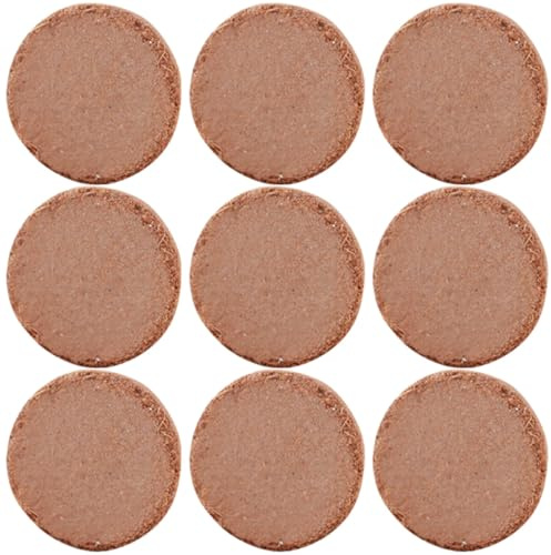 DECOMELODY Blocs Nutritifs en Fibre Végétale pour Semis et Plantation en Intérieur, 60 Pièces Petit Format, Terreau Compressé Absorbant et Aéré, Substrat pour Jardinage et Pépinière