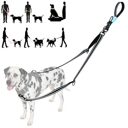 Tiesenci Two Point Control & Hands Free Dog Leash, Waist & Crossbody Leash with Car Seat Belt Clip, Adjustable Heavy Duty Reflective & Tangle-Free, Harnesses Compatible for Large Medium Dogs, Black
