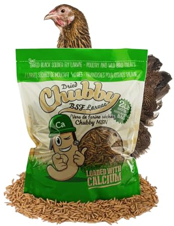 Chubby Dried Black Soldier Fly Larvae | 2 lbs | Non-GMO High-Protein Insect Treat for Chickens, Ducks & Wild Birds – Calcium-Rich Chicken Feed