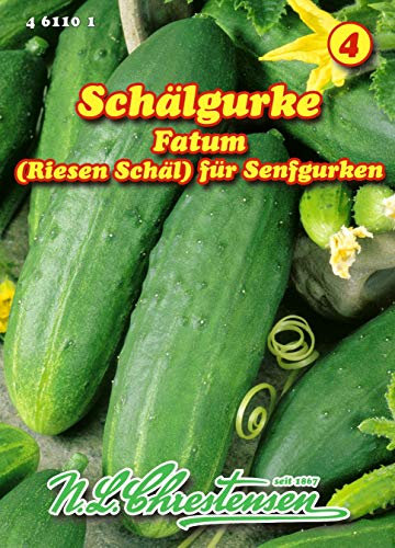 Schälgurke‚ Fatum, (Riesen Schäl) Senfgurken N.L.Chrestensen Samen 461101-B