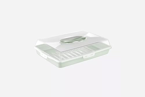 Stolmet Cake Box, Plastic Clear Cake Carrier, Reusable Storage Container for Cupcakes, Muffins or Cakes, Many Styles, Ideal for Transporting Pastries, Cake Box with Lid (Green Rectangle)