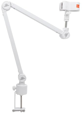 Denash Brazo de Micrófono de Escritorio, Brazo Flexible para Rotación de 360 Grados, Soporte de Micrófono de Tubería de Hierro Estable Adecuado para Micrófonos de 32-60 Mm de Diámetro,