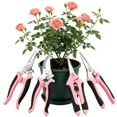 4 Pièces Secateur de Jardin Set, pour Fleurs, Rosiers, Bonsaï, Herbes