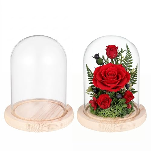 FOMIYES Cloche en Verre pour Centre de Table, décoration de Table, décoration de Table, Base en Bois 10 x 14 cm