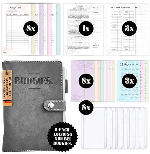 BUDGIES.® Budgetplaner Umschlagmethode Deutsch - A6 - Starterset + Sparchallenges - Finanzplaner Deutsch - Ringbuch - Binder A6 (grau)