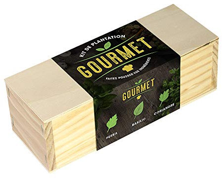 Resetea, Kit de plantation, Gourmet, Persil, basilic et coriandre 1 Jaune