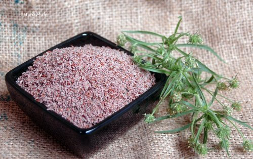 Naturix24 – Flohsamen indisch ganz – 250 g Beutel