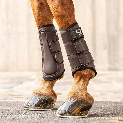 SUNRIDE guêtres de Dressage pour Chevaux (Set de 2) en Cuir véritable de première qualité et néoprène pour la Protection Contre Les blessures (S/26 cm, Marron)