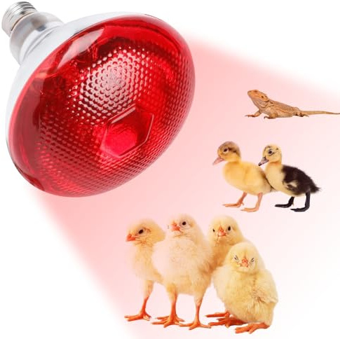 KBIBCK Bombillas de Calefacción para Reptiles, 250W Lámpara Térmica Infrarroja para Tortugas, Bombilla de Calor para Reptiles, para Reptiles y Lagartos Anfibios, Serpientes, Tortuga, Pollos