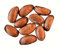 Petit Cola frais sachet de 10
