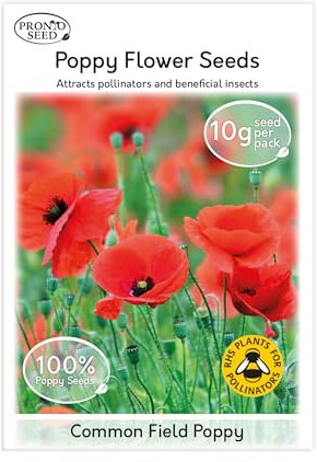 Pronto Seed Field Poppy Wildflower Seeds UK - Hardy Perennial Remembrance Flower for Gardens & Borders - Easy-Grow Flower Seeds That Return Yearly - Attracts Bees & Pollinators (Field Poppy, 10g)