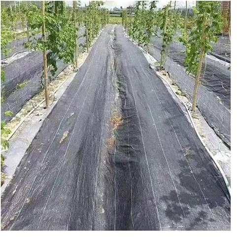 Membrana antimalezas, tela de control de malezas, bloque de malezas resistente, alfombra de jardinería, cubierta de suelo en rollo tejido, longitud 1 a 200 m (1 mx110 m/3.3 ftx360 pies)